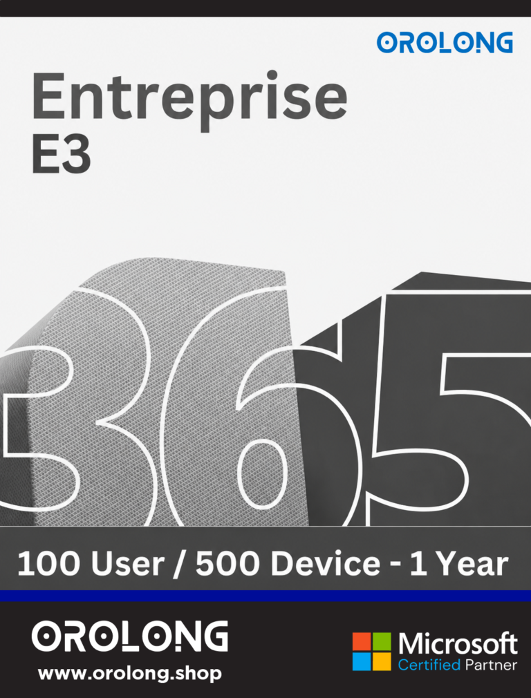 Microsoft 365 E3 Enterprise (100 User)