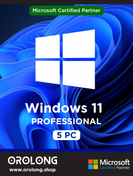 Windows 11 Pro (5 PC)