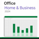 Microsoft Office Home and Business 2024