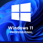 Windows 11 Professional