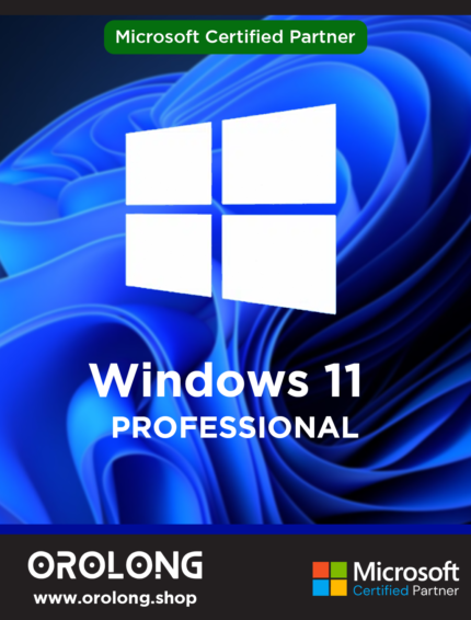 Windows 11 Professional