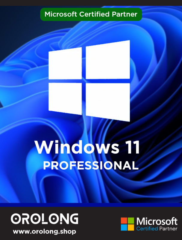 Windows-11-PROFESSIONAL-name