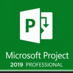 Microsoft Project Professional 2019