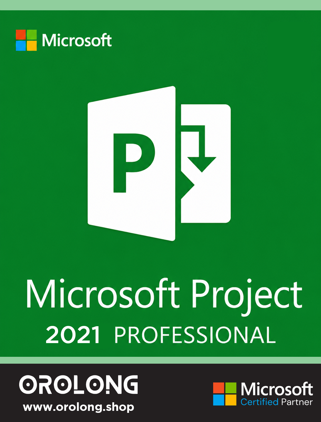 microsoft-project-pro-2021-name
