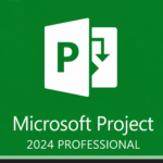 Microsoft Project Professional 2024