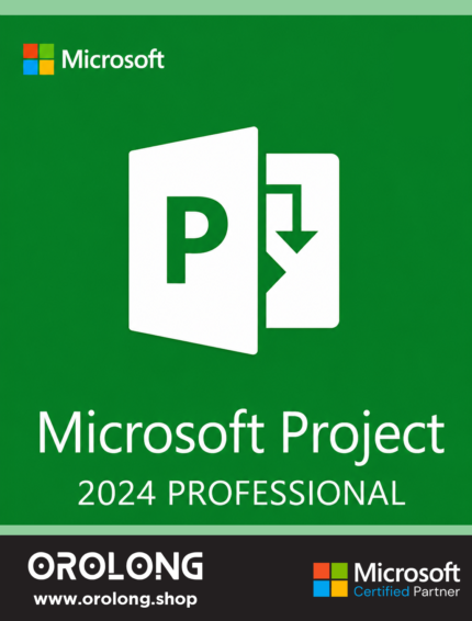 Microsoft Project Professional 2024