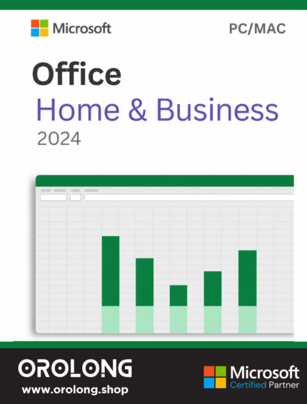 Microsoft Office Home and Business 2024
